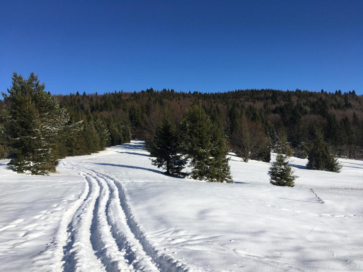 Penzion Roal Pieniny Hotel Спишска Стара Вес Екстериор снимка