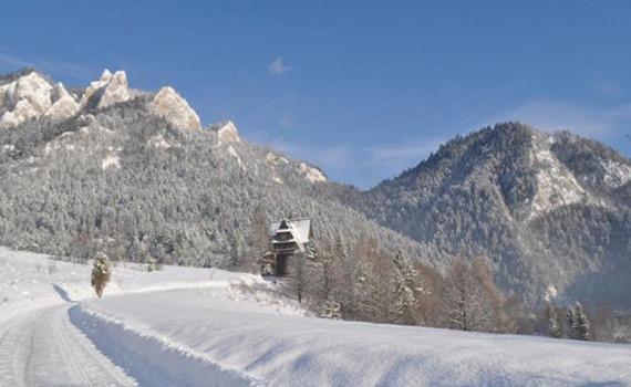 Penzion Roal Pieniny Hotel Спишска Стара Вес Екстериор снимка