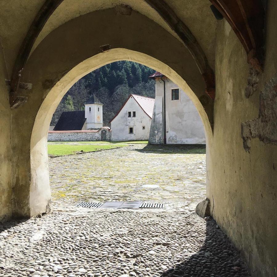 Penzion Roal Pieniny Hotel Спишска Стара Вес Екстериор снимка